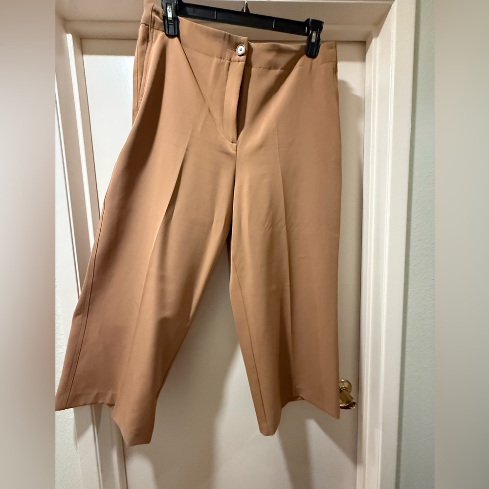 Cooper & Ella Tan wide legged dress pants